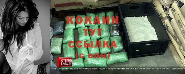 ГАЛЛЮЦИНОГЕННЫЕ ГРИБЫ Белокуриха